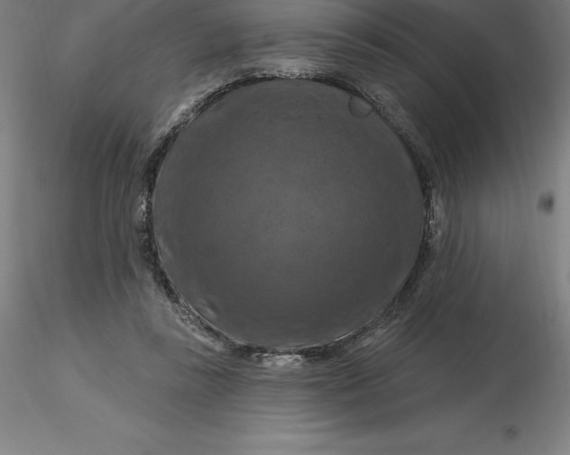 X0000116280355200912211824