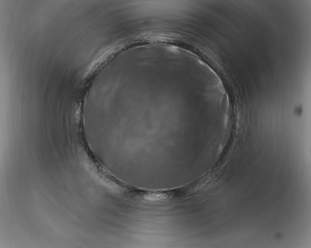 X0000116280357200912211824