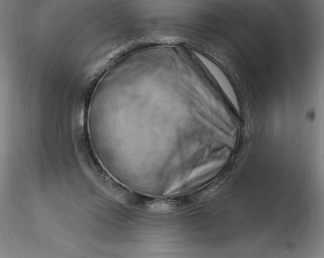 X0000116280358200912211824