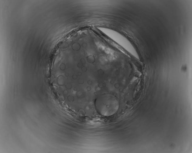 X0000116280359200912211824