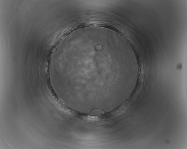 X0000116280361200912211824