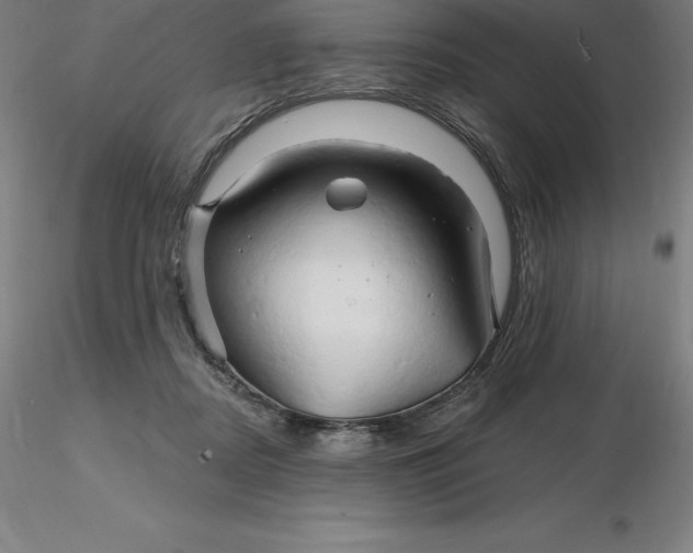 X0000116280362200912211824