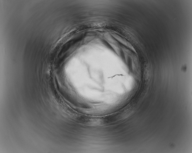 X0000116280363200912211824