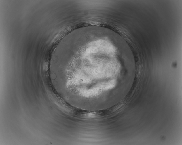 X0000116280365200912211824