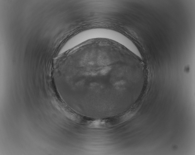 X0000116280366200912211824