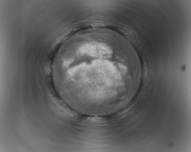 X0000116280367200912211824