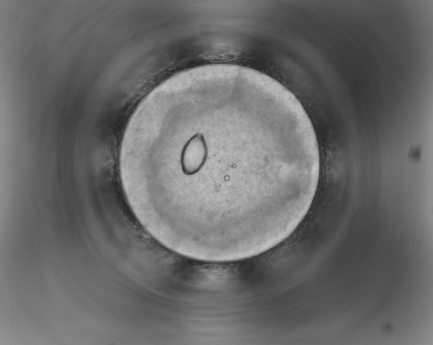 X0000116280370200912211824