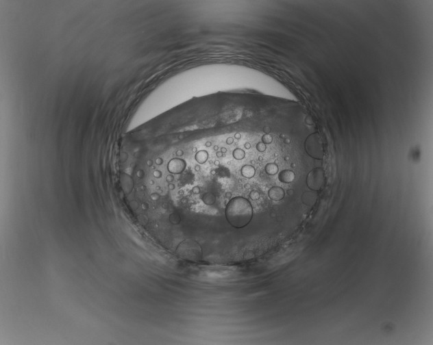 X0000116280371200912211824