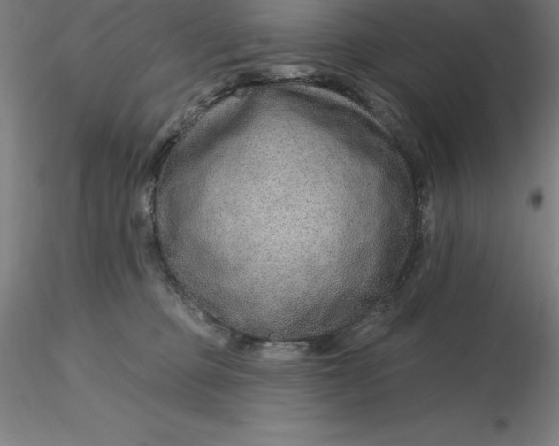 X0000116280373200912211824