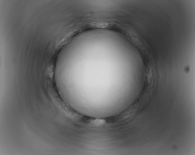 X0000116280374200912211824