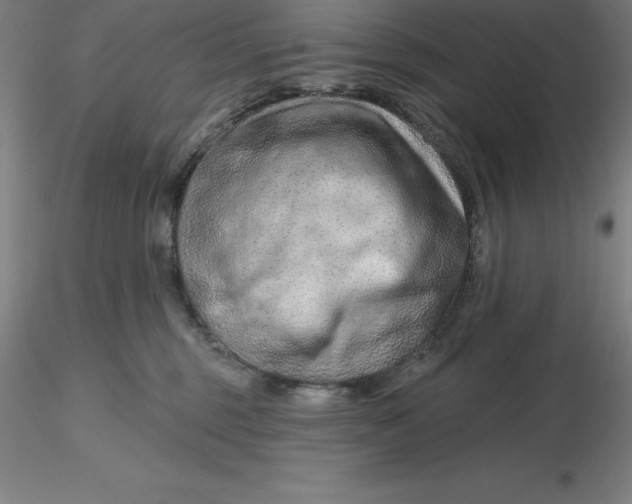 X0000116280375200912211824