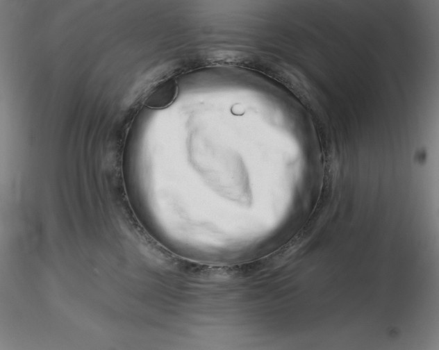 X0000116280377200912211824