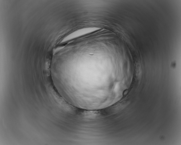 X0000116280378200912211824