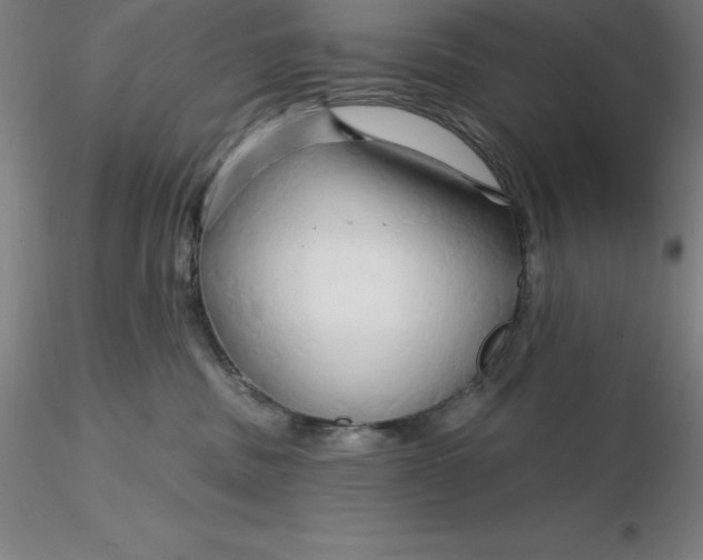 X0000116280379200912211824