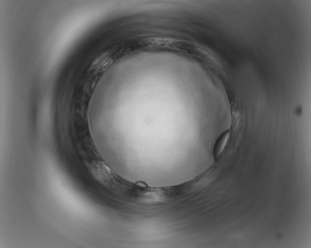 X0000116280381200912211824