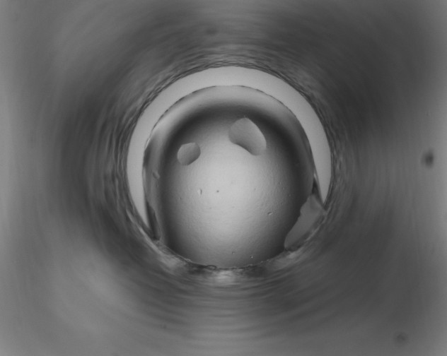 X0000116280382200912211824