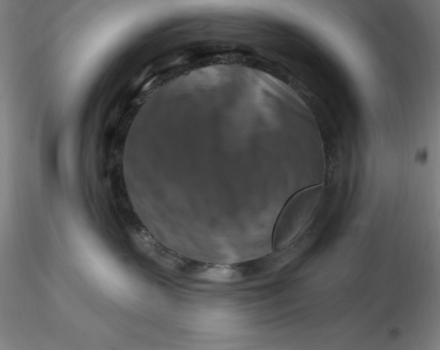 X0000116280383200912211824