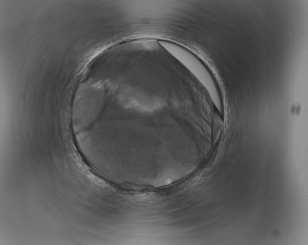 X0000116280385200912211824