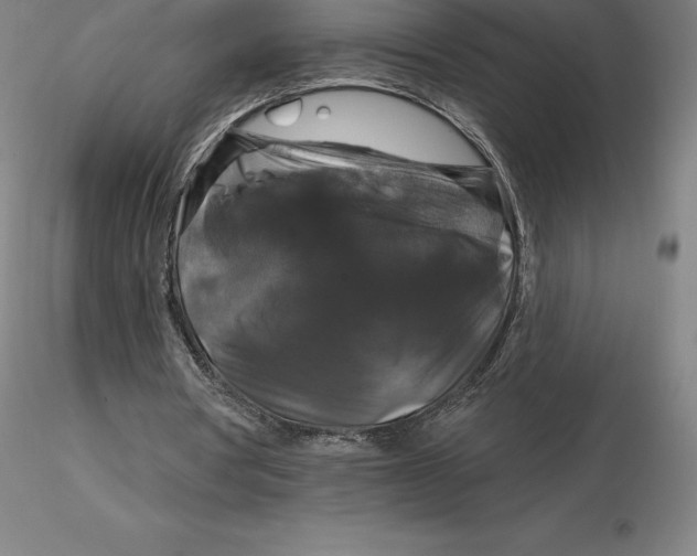 X0000116280386200912211823