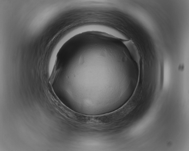 X0000116280387200912211823