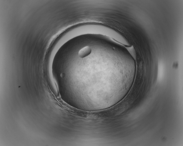 X0000116280388200912211823