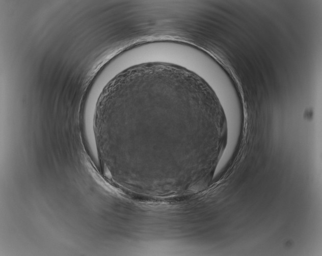 X0000116280389200912211823