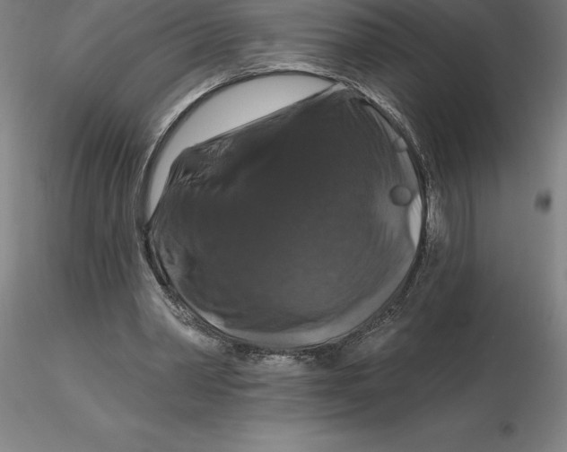 X0000116280390200912211823