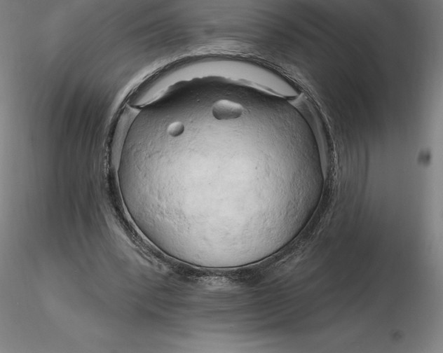 X0000116280392200912211823