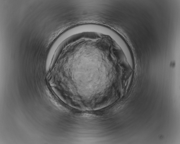 X0000116280393200912211823