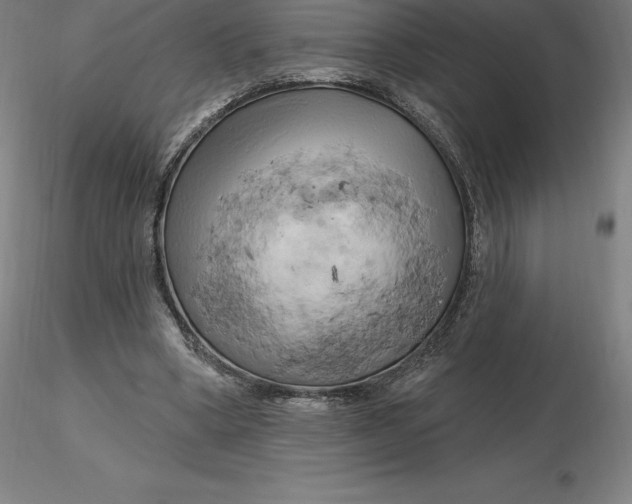 X0000116280394200912211823