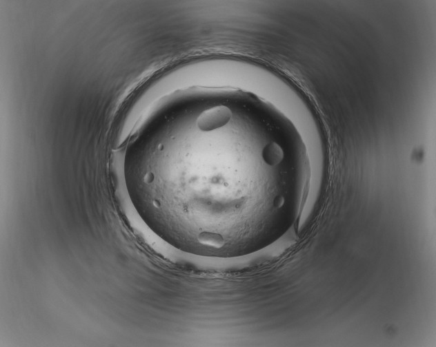 X0000116280395200912211823