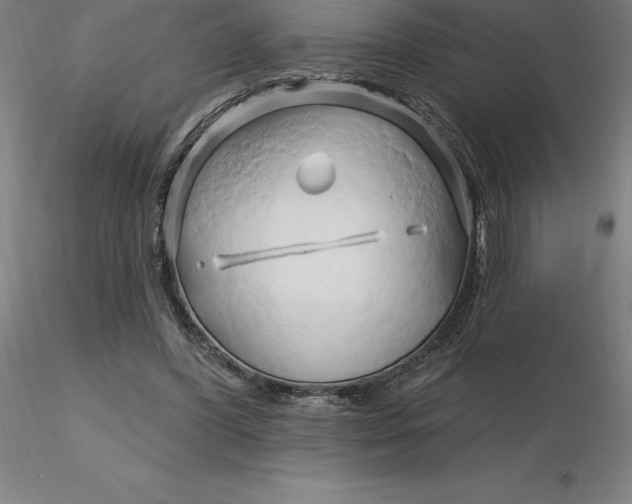 X0000116280396200912211823