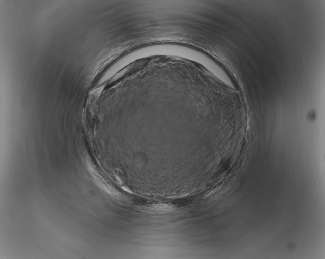 X0000116280397200912211823