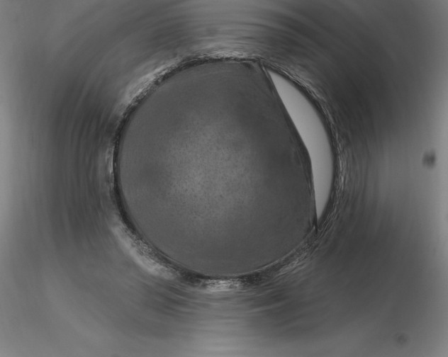 X0000116280398200912211823