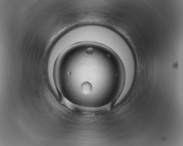 X0000116280399200912211823