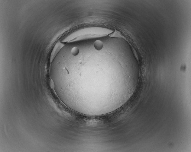 X0000116280400200912211823