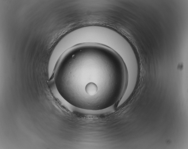 X0000116280401200912211823