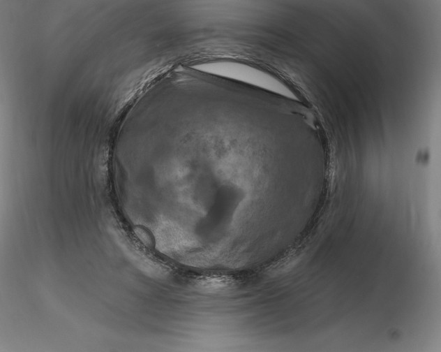 X0000116280402200912211823