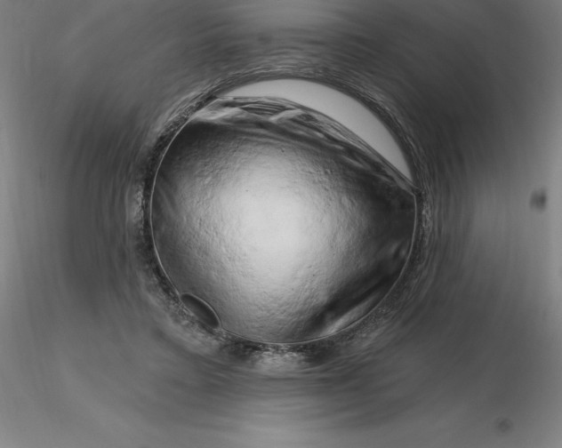 X0000116280403200912211823