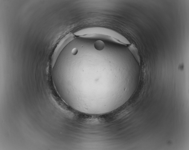 X0000116280404200912211823