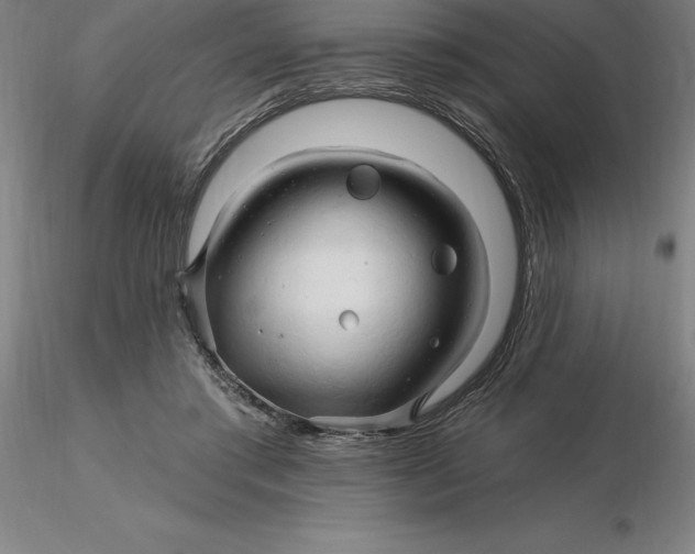 X0000116280405200912211823