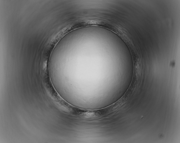 X0000116280406200912211823