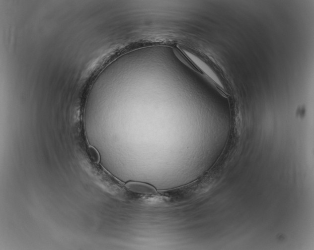 X0000116280407200912211823