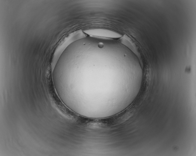 X0000116280408200912211823