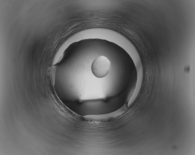 X0000116280409200912211823