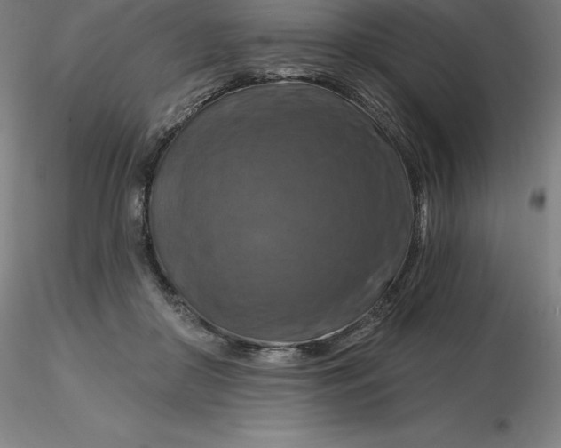 X0000116280410200912211823