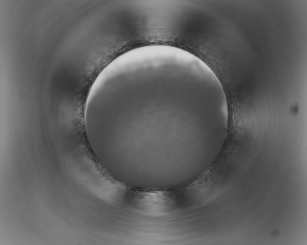 X0000116280411200912211823