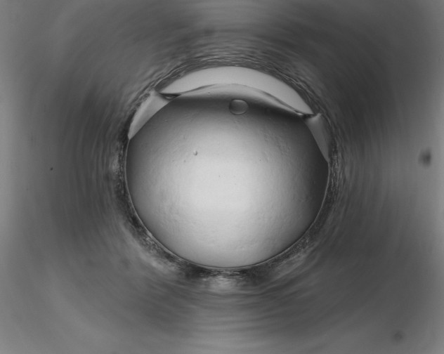 X0000116280412200912211823