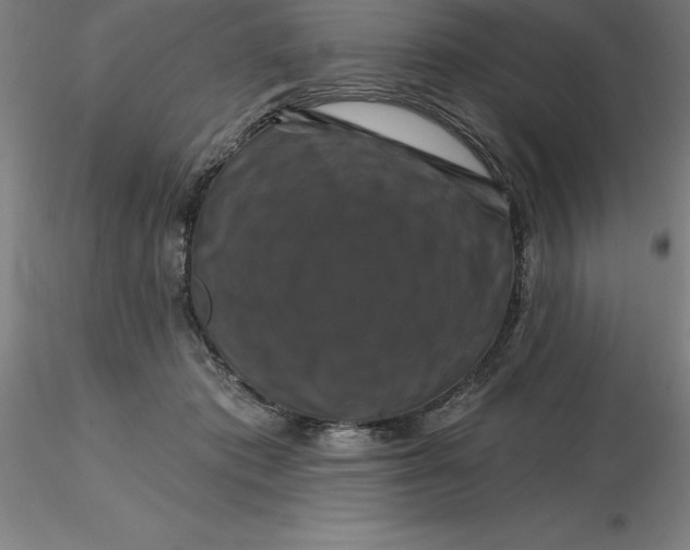 X0000116280413200912211823