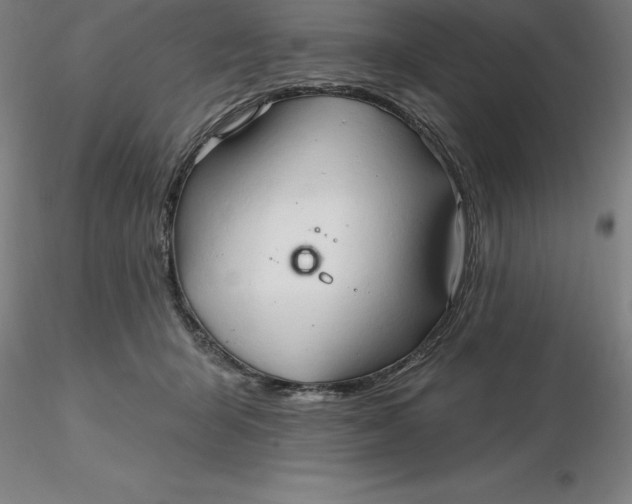 X0000116280415200912211823